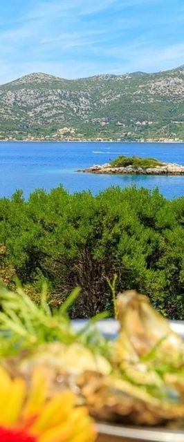 House Marija Korcula