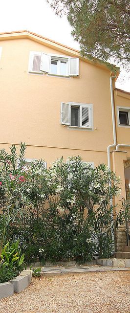 Apartments Dino Novalja