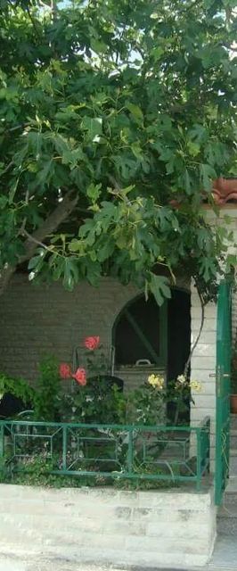 Apartment Daria Trogir