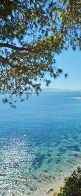 Apartments Nikola Bol