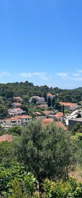 Apartment Željko Maslinica