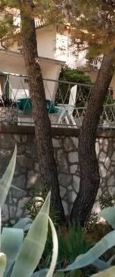 House Vlasta Primosten