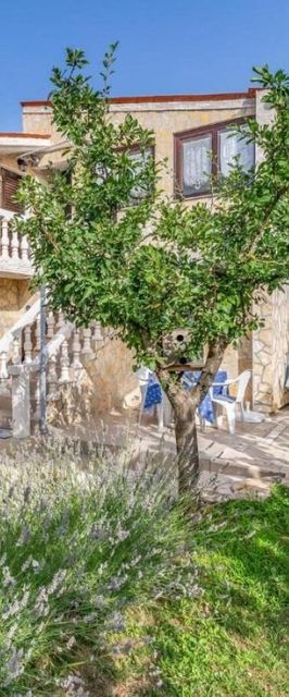 Apartments Katrina Kavran