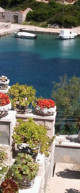 Apartment Nikola Donja Krušica