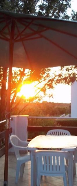 Apartment Branka Petrcane