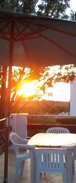 Apartment Branka Petrcane