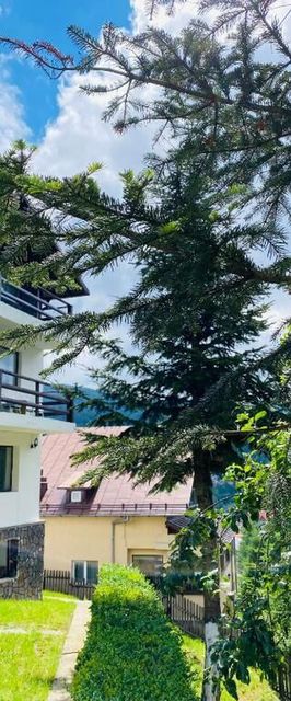 Pensiunea DEDU Bușteni