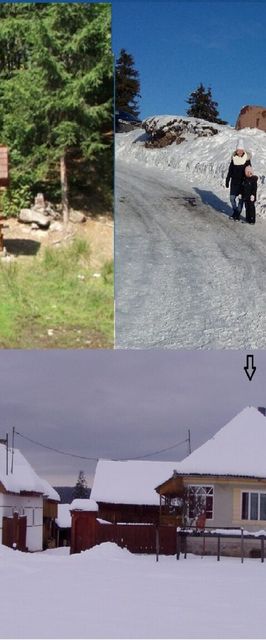 Casa Rustică la Marginea Pădurii Vărșag