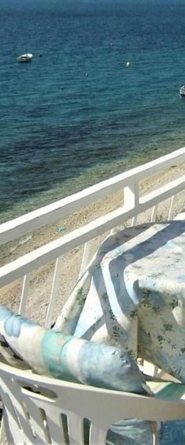 Apartment Danka Brist