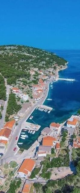 Apartment Katija Zirje