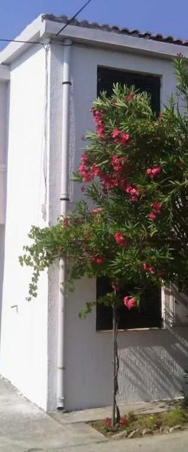 Apartments Vjeko Nin