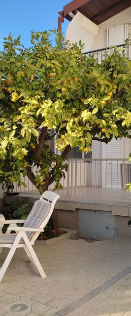 Apartments Neve Grebastica