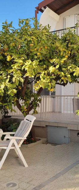 Apartments Neve Grebastica