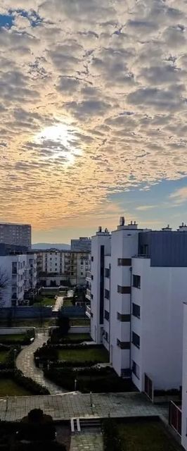 visit baltic – Platan Studio WO13C