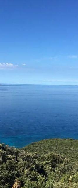 Apartments Rose Nerezine