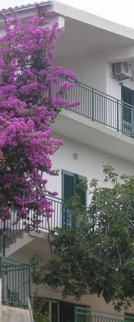 Apartments Neva Primosten