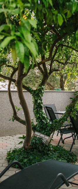 Apartment Florio Trogir