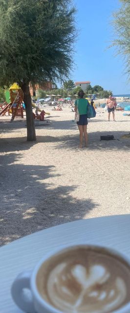 House Spark Zecevo II