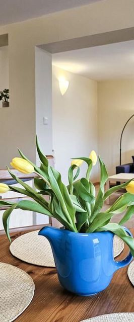 visit baltic- Apartament kapitański ZE05