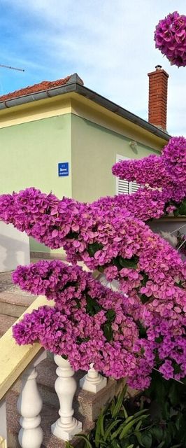 Apartment Mili Sutomiscica