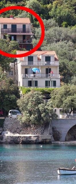 Apartment Iva Molunat