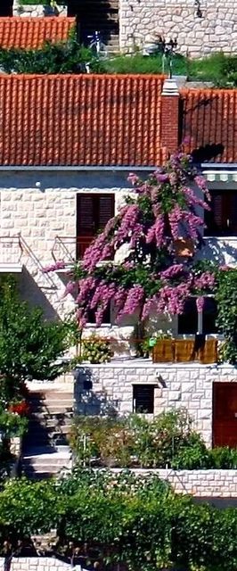 Apartments Nikola Postira