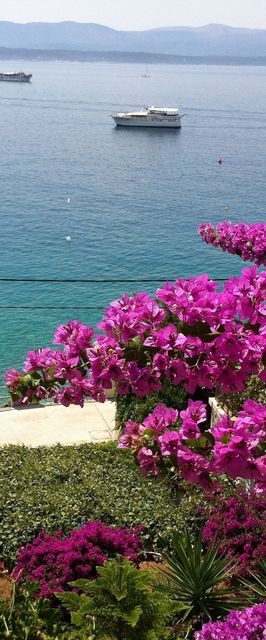 Apartments Matea Bol