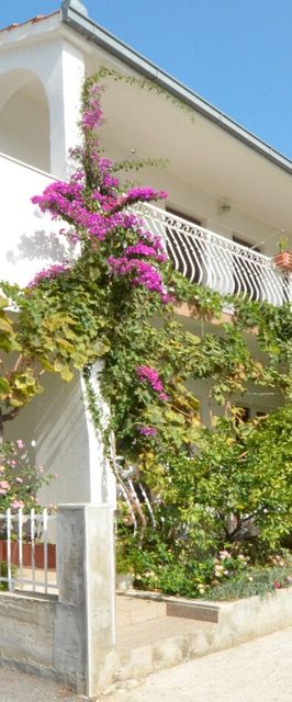 Apartments Paž Vinisce