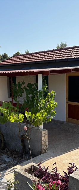 House Senka1 Vela Luka