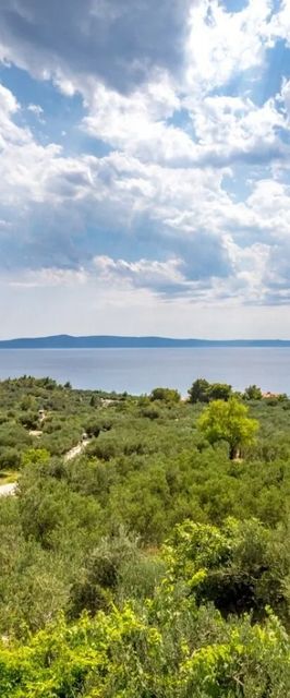 Apartment Damir Tucepi