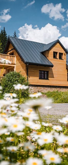 Apartmány Mezivodí