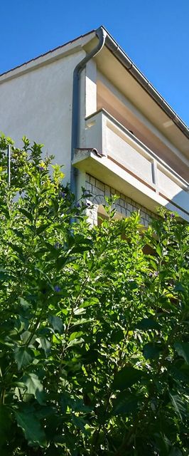 Apartments and Rooms Frane Palit