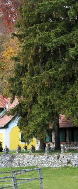 Csipkéskúti Lovas Vendégház Miskolc