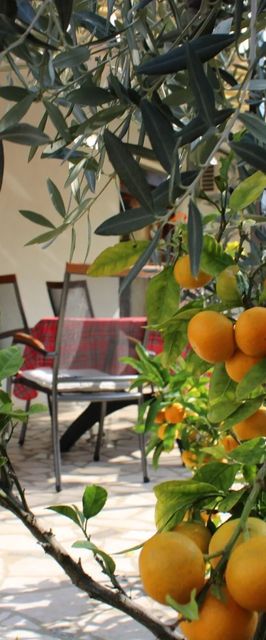 Apartman Paganor Pula