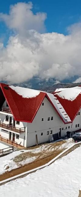 Pensiunea Rustic Ana Rânca