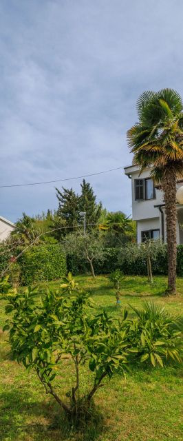 Apartment Renata Njivice