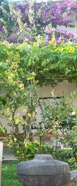 Apartments Sini Makarska