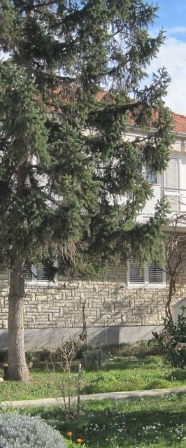 Apartment Ivan Zadar