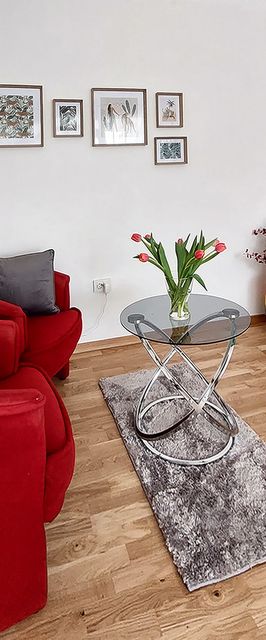 Apartment Oliva Knin