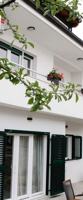 Apartments Petri Tisno