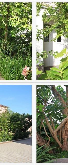 Apartment Vana Kastel Novi