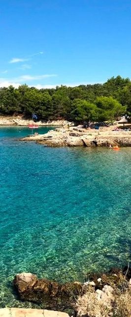 Apartments Insula Insule Skrbčići