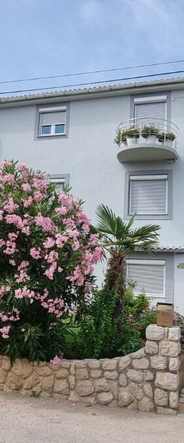 Apartments PAna Silo