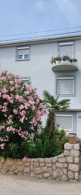 Apartments PAna Silo