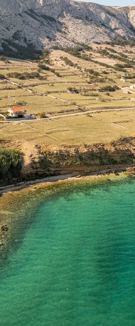 Apartman Pag - CKD024