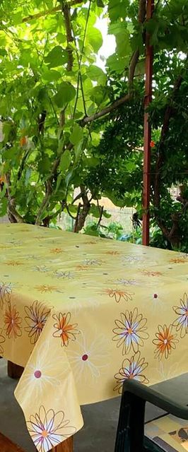 Apartman Grebaštica - CSV128