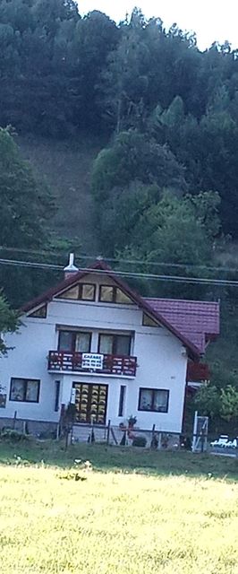 Casa Rareș Toc Lunca