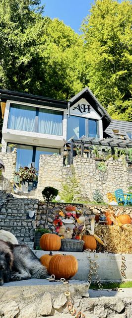 Vila Alpin Heaven Dâmbovicioara