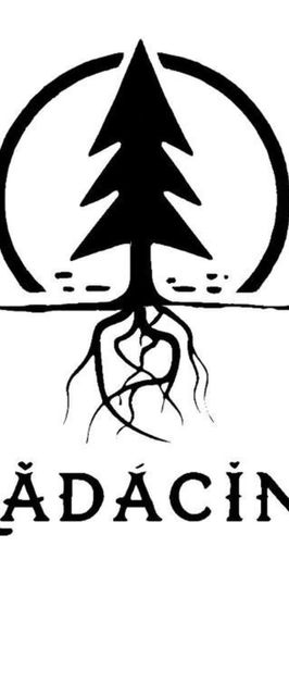 Hotel Rădăcini Câmpulung Moldovenesc