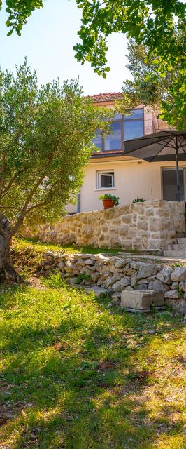 Apartment Maslina Kneža